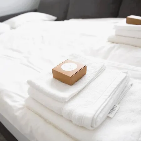 Charming Modern 2 Bedroom Alzingen